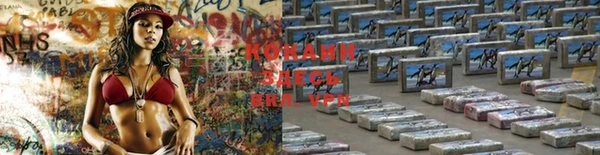 mdma Пересвет