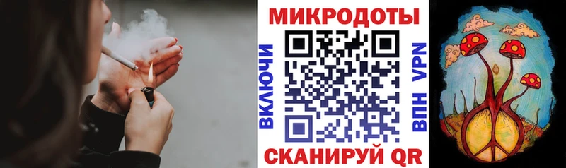 Галлюциногенные грибы прущие грибы  Владимир 